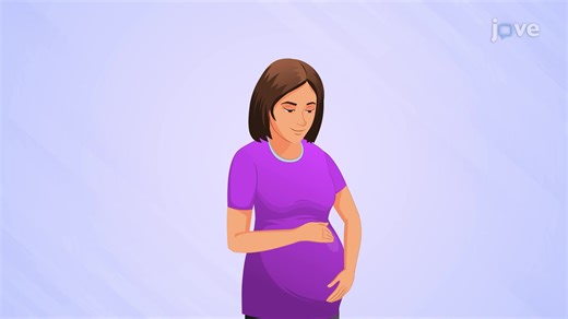 Pregnancy - Growth, Development, and Reproduction of Organisms - JoVE K12