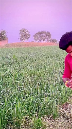 Madhukar Edake on Instagram: "🦅गरुडा को इचारून😜शे सांगत्या हे🤣 | So Funny Reels | Full Comedy Videos | . . . 🙏👉like comments & please follow me.🙏 . . . . #comedy #fyp #funny #viral reels #foryou"