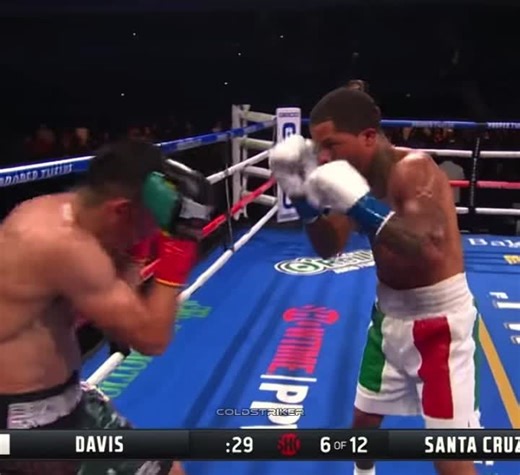 Gervonta Davis Knockout Highlights and Boxing Skills