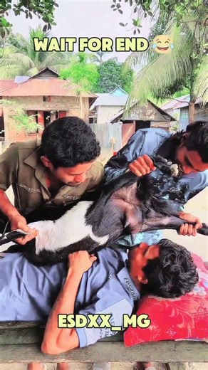 dj alamgir 🎧 dj antu 📻 dj actor 🎶 d.j bead 🎧 dj gan🎶 dj actor king 🎧 Dj song 📻 dj s gobindo#dj #dj