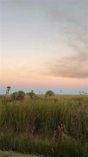 Most Palm Bay, Florida residents don’t even know what beautiful lands are within our area. Three Forks Marsh is an amazing place to spend the day. #stayuntamed #camping #palmbay #swamplife | Untamed Society | Facebook