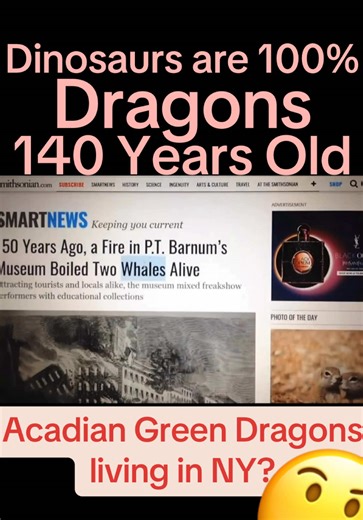 Proof that Dragons Existed! #dragons #realdragons | dragons