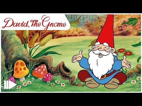 David, the Gnome - 02 - The Little Sorcerer | Full Episode |