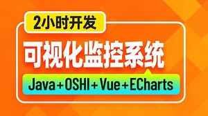 从0到1全端开发可视化监控系统，Java OSHI Vue ECharts