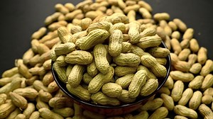 Peanut Allergies Are Down in Kids After Early Exposure: Study