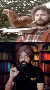 Gimbal Camera Vs Hen🤔|`The Stabilization Power of Chicken Heads Featured #GimbalCamera #ChickenHead | JoT Tv Australia