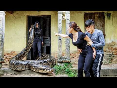 Harvesting Wild Clams to Sell ❗ Disabled Boy Finds Girl Carrying Giant Python in an Abandoned House