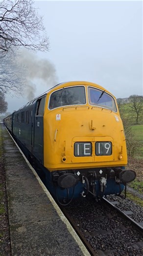 BR Class 42 Warship No. 832 Onslaught & BR Class 50 Valliant 50015 Winter Warmer Diesel Running Day
