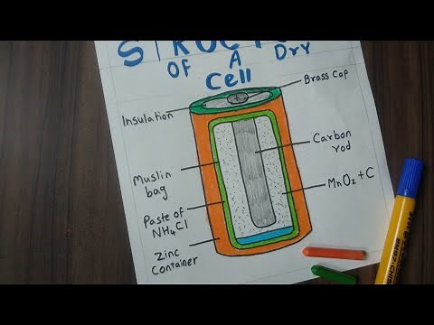 Dry Cell Diagram | Drawing Pencil Cell | What Pencil Cell Consists Of Diagram