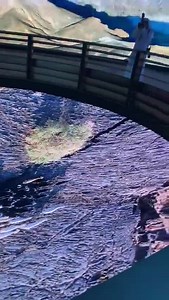 The pavilion that mesmerised the world! The Kingdom of Saudi Arabia pavilion at the #Expo_2020 International Exhibition in Dubai 🇸🇦 | RiyadhConnect