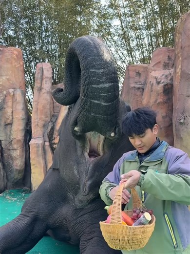 Fruit Snacks with Nono the Elephant