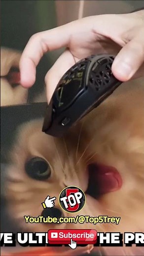 Attack Shark R5 Ultra Gaming Mouse Review