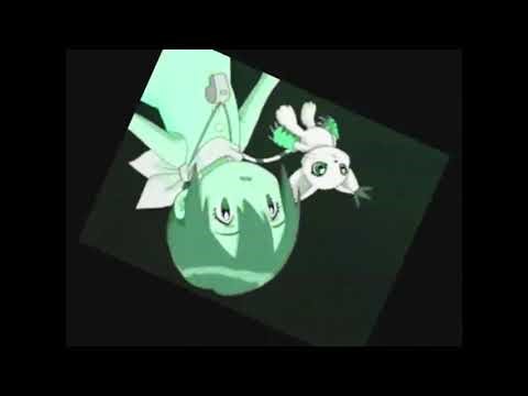 Digimon Girls Tik Tok Clone Wars Parody