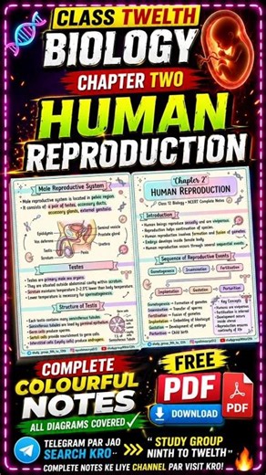 Class 12 Biology Chapter 2 Notes | Human Reproduction | Free PDF | #cbseboard #shorts #viral