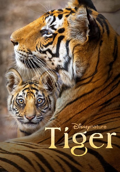 Tiger - movie: where to watch streaming online