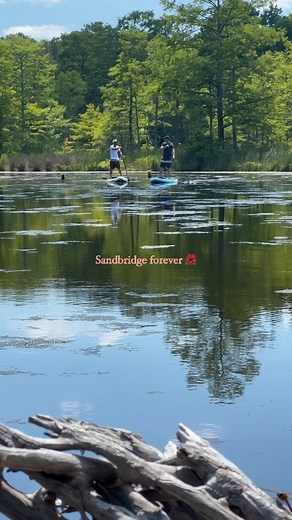 4 comments | Live it up & love it forever  Sandbridge, VA 酪 Featuring: • Sandbridge Beach • Sandbridge Seaside Market • Baybreeze Farmers Market • Lotus Garden Park  | Sandbridge Blue Vacation Rentals | Facebook