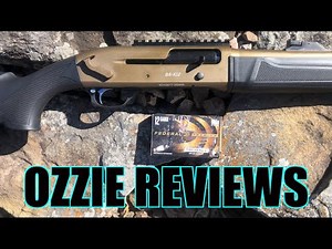Bushmeister “BA-X12” Tactical 12g Shotgun (full review) - Ozzie Reviews