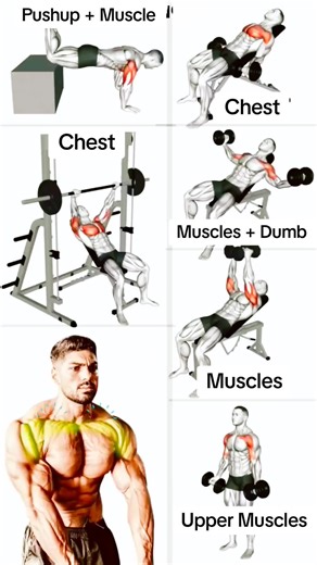 Effective Chest Workouts with Dumbbells and Push-ups
