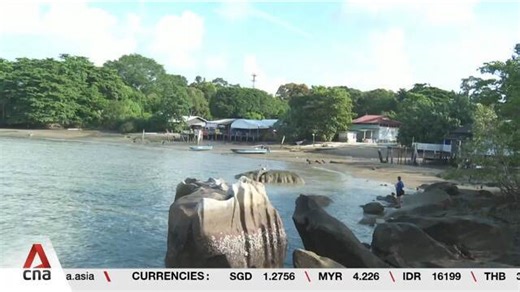 Protecting Pulau Ubin: Boosting conservation with tree planting, shoreline restoration