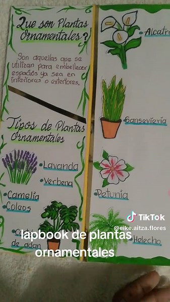 Lapbooks Creativos: Reflexionando a Través de Plantas