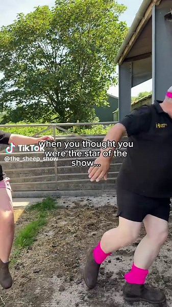 Can you tell it runs in the family?! The sheep are learning from the best 😌🐑✨ #thesheepshow #sheepshow #sheep #farming #farmingcommunity #entertainment #entertaining