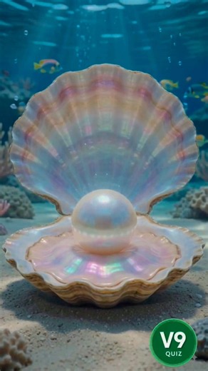 How An Oyster Makes A Million Dollar Pearl in 3D! 🦪✨Full Pearl Formation Process#science