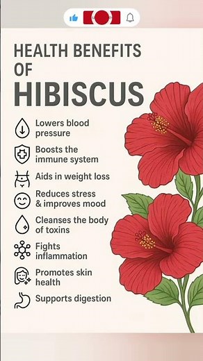 Drink Hibiscus Tea Daily & Watch What Happens to Your Body! #HibiscusBenefits #shortsfeed #viral