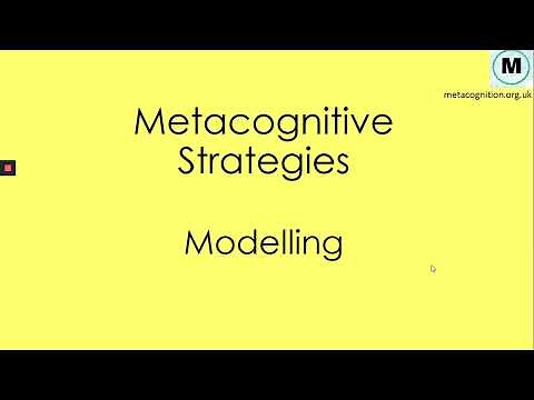 Metacognitive Strategies - Modelling