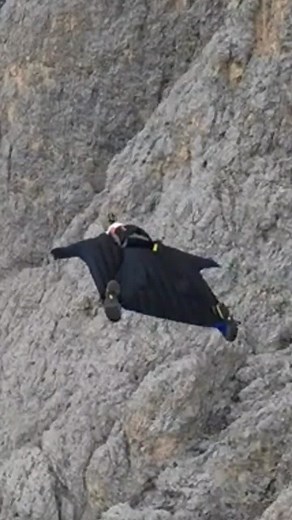 A withered tree in spring