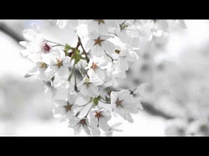 Lightroom 4による動画編集（1）