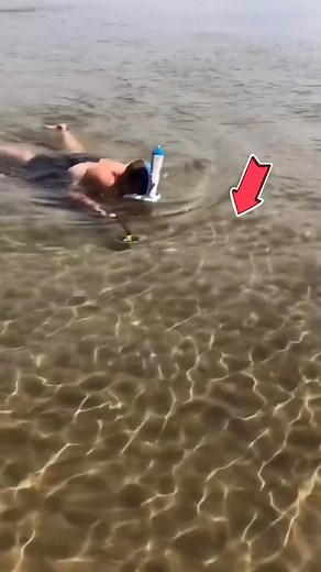 RM RICOMAX Metal Detector Underwater Fully Waterproof - Submersible to 100 feet underwater #rmricomax #metaldetecting | Video Gole