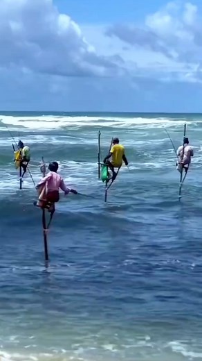 Fishing 101 on Instagram