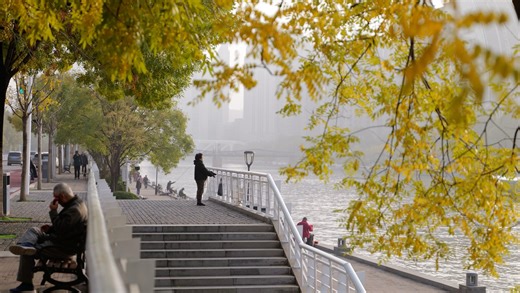 摄影大师郭泳君原创作品：《㪗》。相机：Lumix