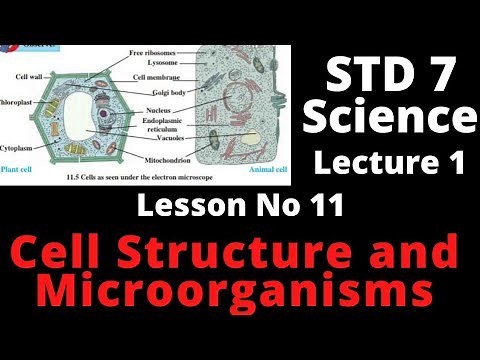 @Swati's classes std 7 science lesson no 11 Cell structure and microorganisms (lecture 1)