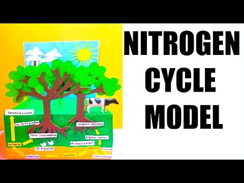 nitrogen cycle model | 3d | science project | DIY | best out of waste | howtofunda
