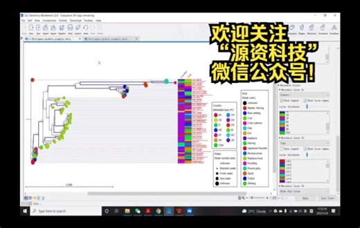 使用CLC Genomics Workbench 22.0构建进化树