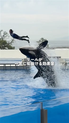 ＼一気に垢抜け／プロっぽい効果音30選