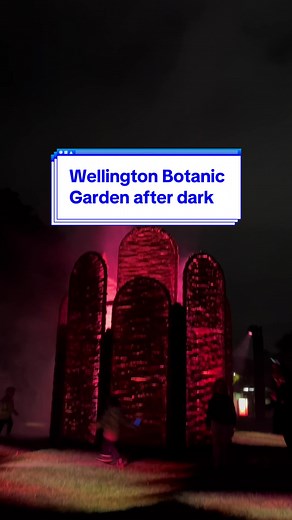 Experience the Magical Light Show at Wellington Botanic Garden