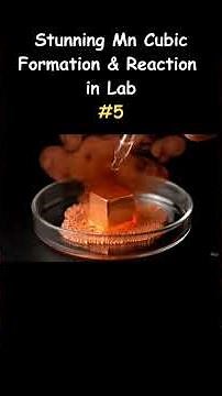 Cubic Manganese Reaction Experiment | Petri Dish Chemistry