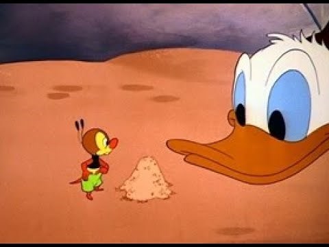 Donald Duck Bee at the Beach Donald Duck Daddy Duck Cartoon Compilation