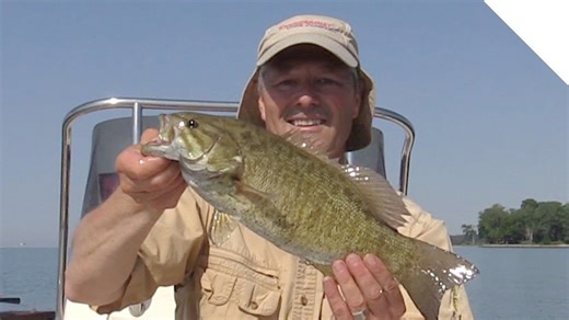 Important crankbait tips, tricks, and advice (how to use and choose a crankbait)