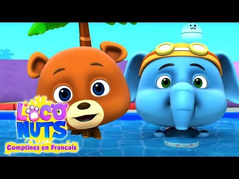 Chanson de natation | Préscolaire | Loco Nuts | Comptines en français | Musique pour les enfants