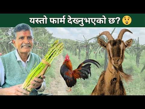 नेपालमा यस्तो फार्म 😲 | This Farm Has Everything! 🌾Relaxing Farm Life Nepal