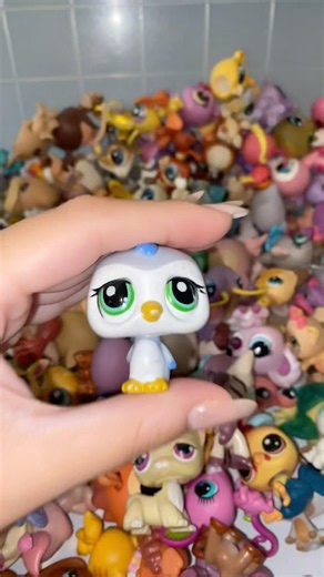lps delirious #ytdayibenionecikarnolur #lps #kesfeteyyiz #littlestpetshop #toys #lpscollector