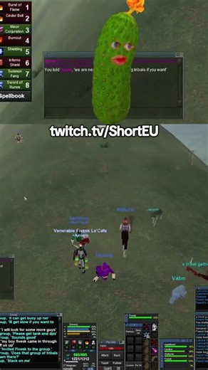 When is the best time to Group on Quarm #everquest #quarm #p99 #Mage #grouping #question