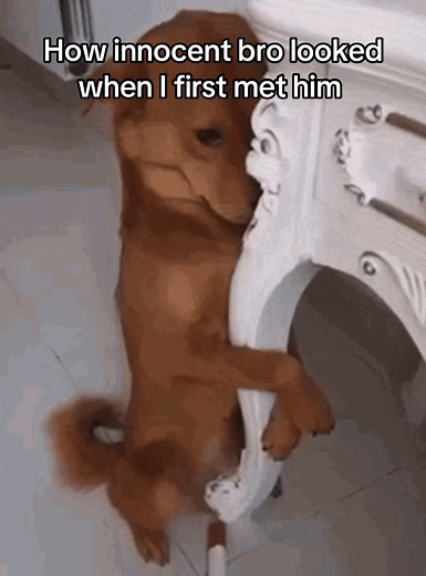 How Innocent Bro Looked When I First Met Him