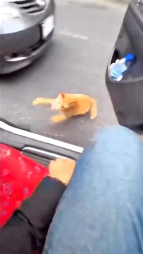 New haircut freestyle #yt #hairstyle #tiktok #song #shorts