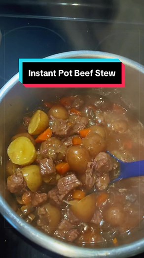 Instant Pot Beef Stew Recipe for Family Dinner