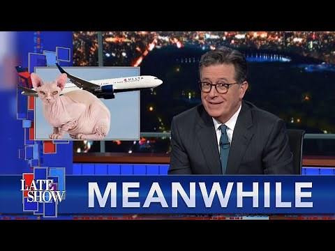 Meanwhile... Woman Seen Breastfeeding Her Cat On A Flight | Omicron (The Band) Is Not A Virus