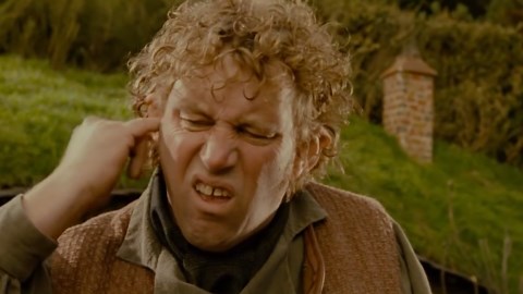 Extinct Human Species And How They Differ